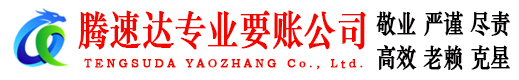 定陶清债公司